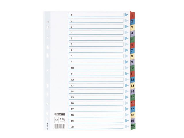 Register Mylar A4 1-20 multifärgat
