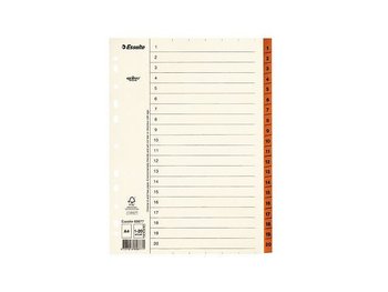 Pappregister Servo A4 1-20 brun 10/fp