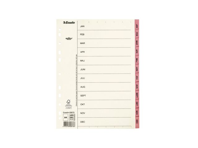 Pappregister Servo A4 Jan-Dec rosa 10/fp