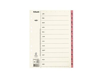 Pappregister Servo A4 Jan-Dec rosa 10/fp