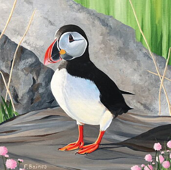 Faye Baines : Puffin/Lunnefågel - Kort med kuvert