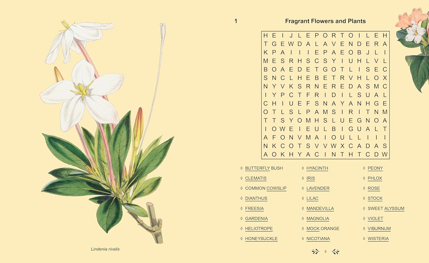 Kew Garden : Wordsearch - Ordpyssel för trädgårdsälskaren! - 2