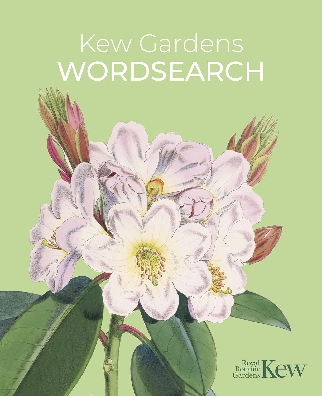 Kew Garden : Wordsearch - Ordpyssel för trädgårdsälskaren!