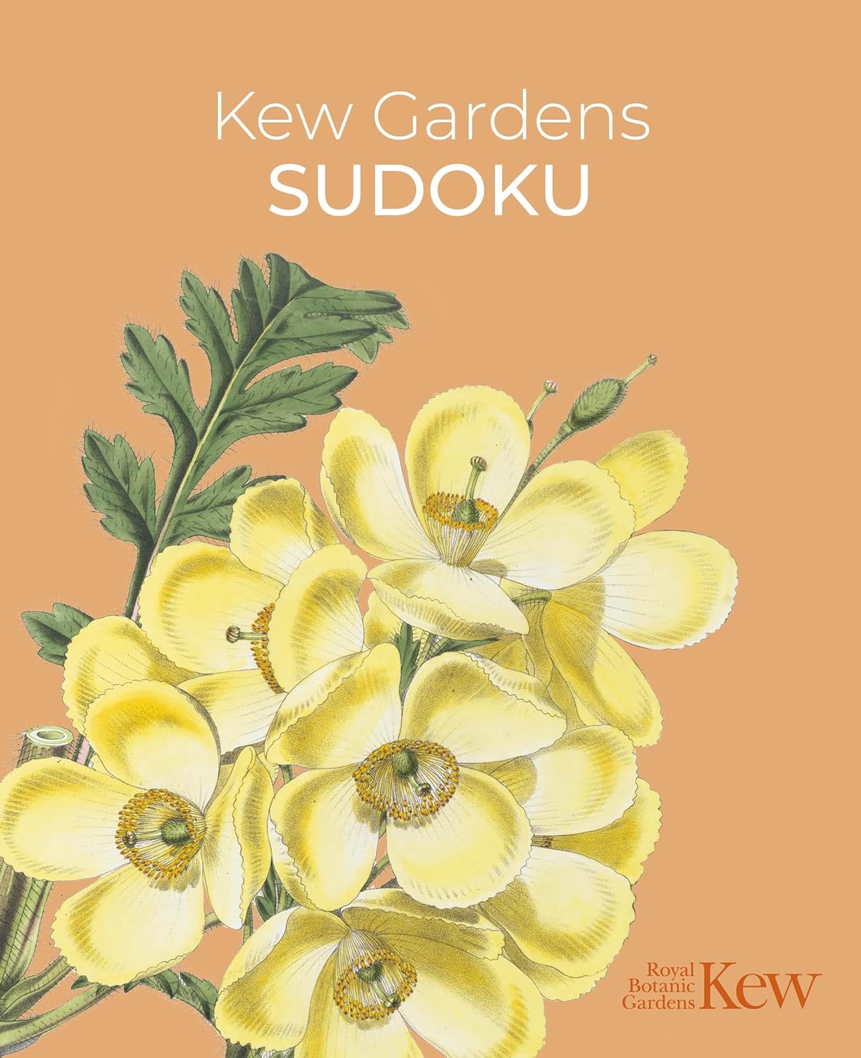 Kew Garden : Sudoku - Sifferpyssel för trädgårdsälskaren!