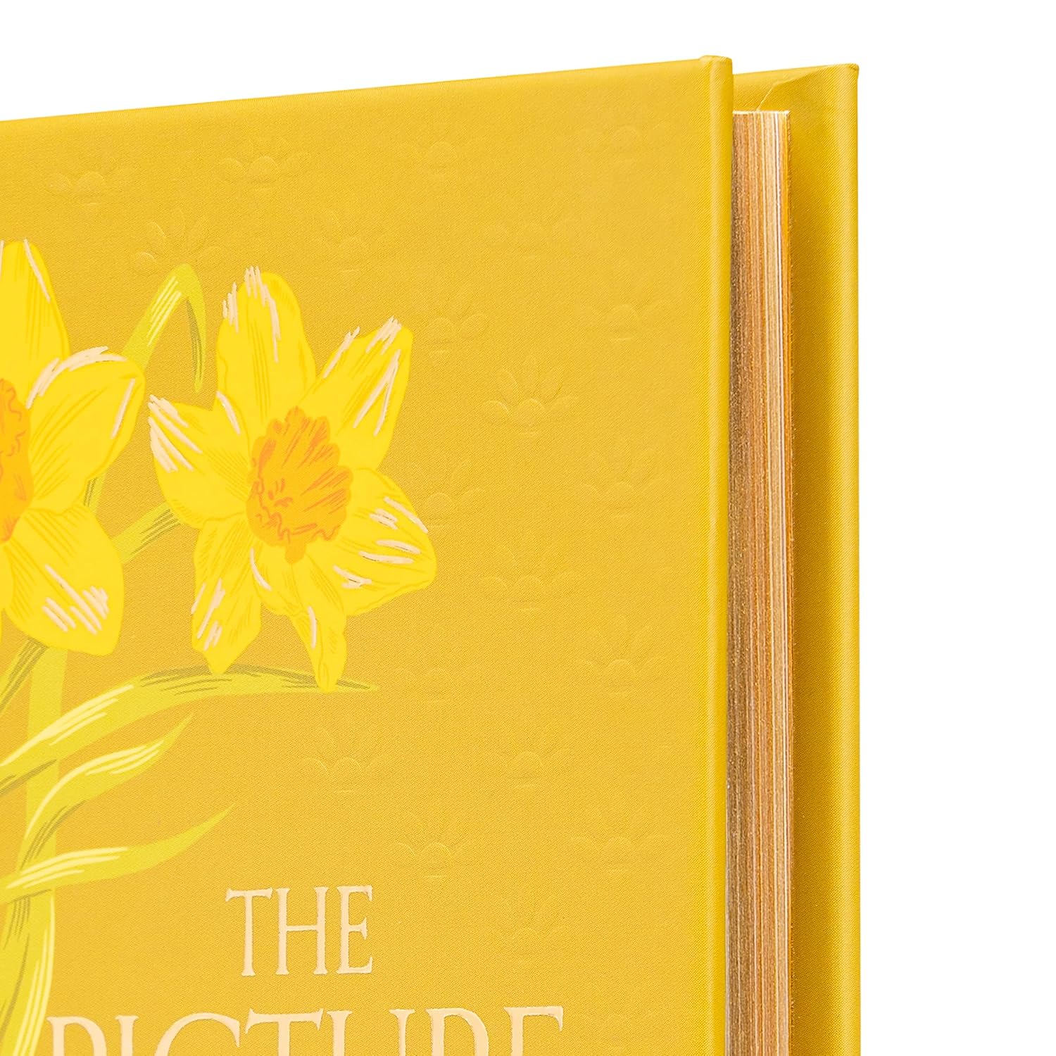 Oscar Wilde : The Picture of Dorian Gray - Signature Gilded Editions - 3