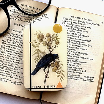 Firefly Notes : Crow Shiny Things Tin - Ask för små blänkande saker Large
