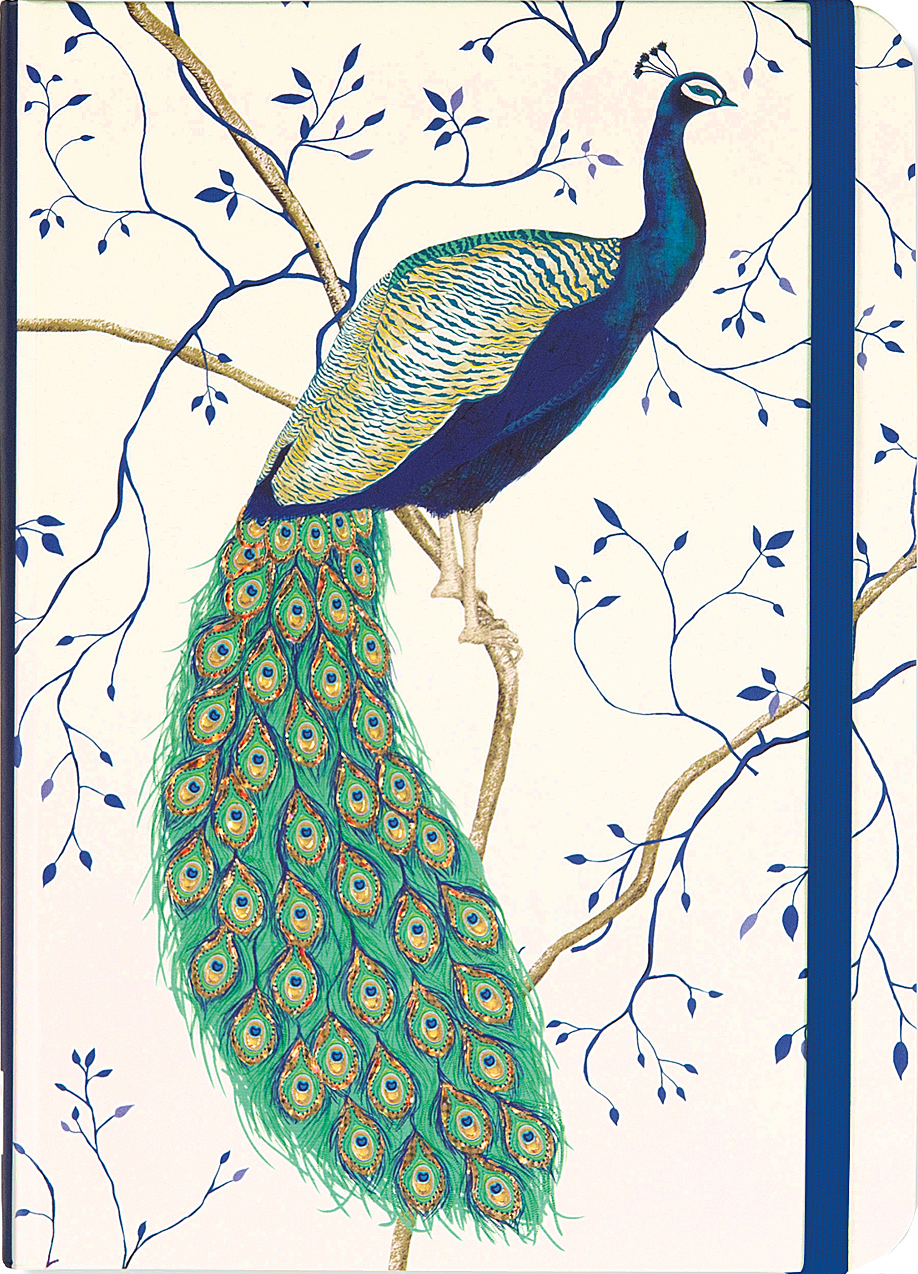 Peacock : Skrivbok med linjerade sidor och resårband - A6+
