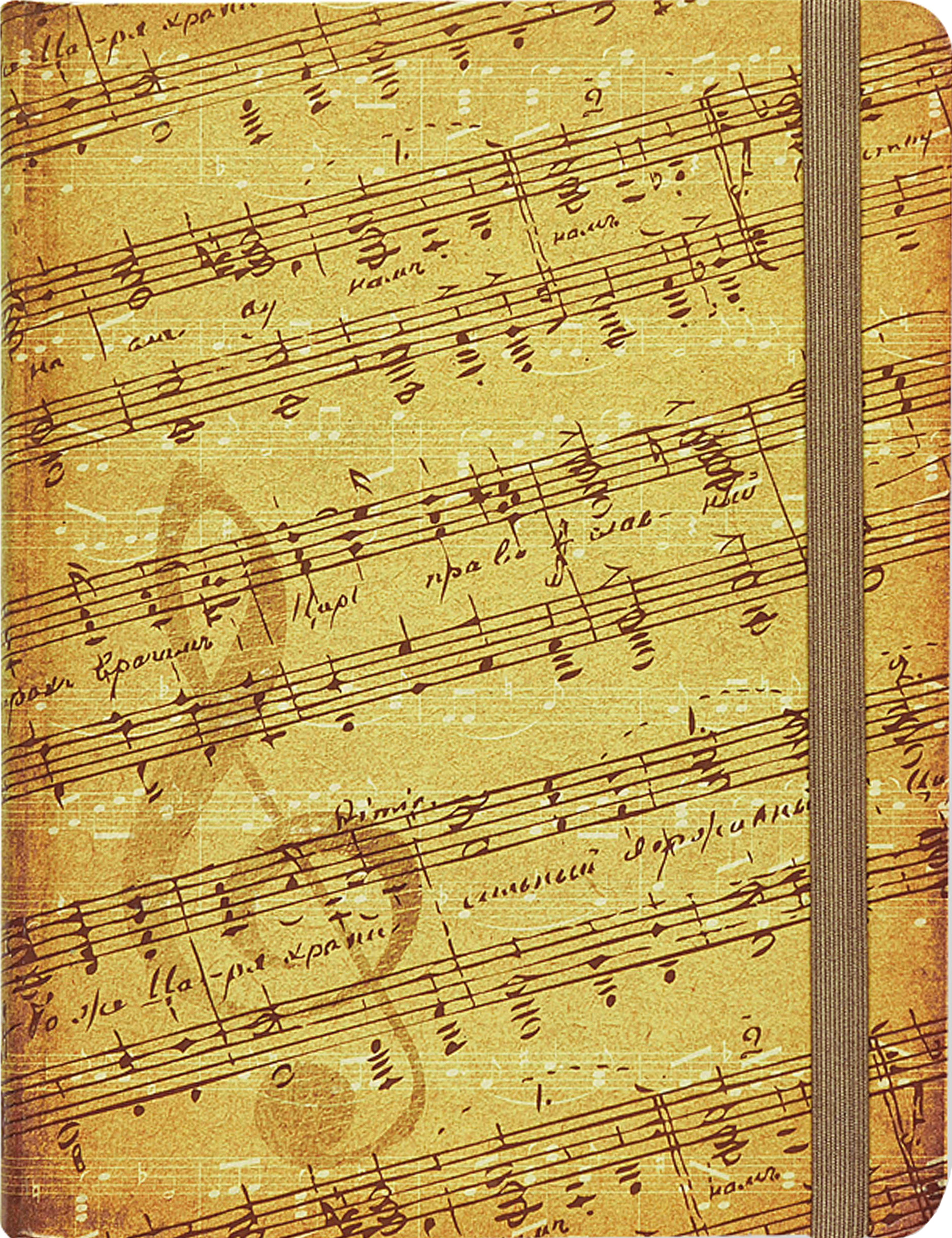 Music : Hardcover Journal - linjerad och varannan sida med notlinjer - A5