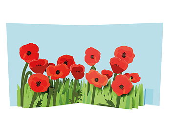 Flowers in the garden : Popup-kort med vallmoblommor som vecklar ut sig