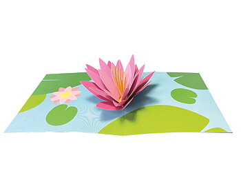 Flowers in the garden : Popup-kort med en rosa näckros som vecklar ut sig
