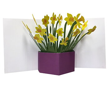 Flowers in a vase : Popup-kort med påskliljor som vecklar ut sig
