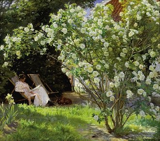 Peter Severin Kröyer : Roses 1893 - Kort med kuvert