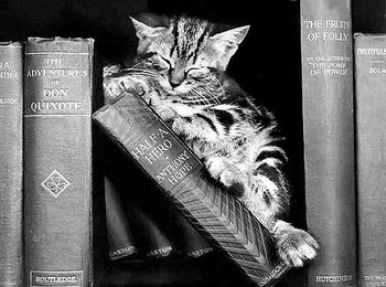 S/V : Tabby Taking a Nap 1950s - Kort med kuvert