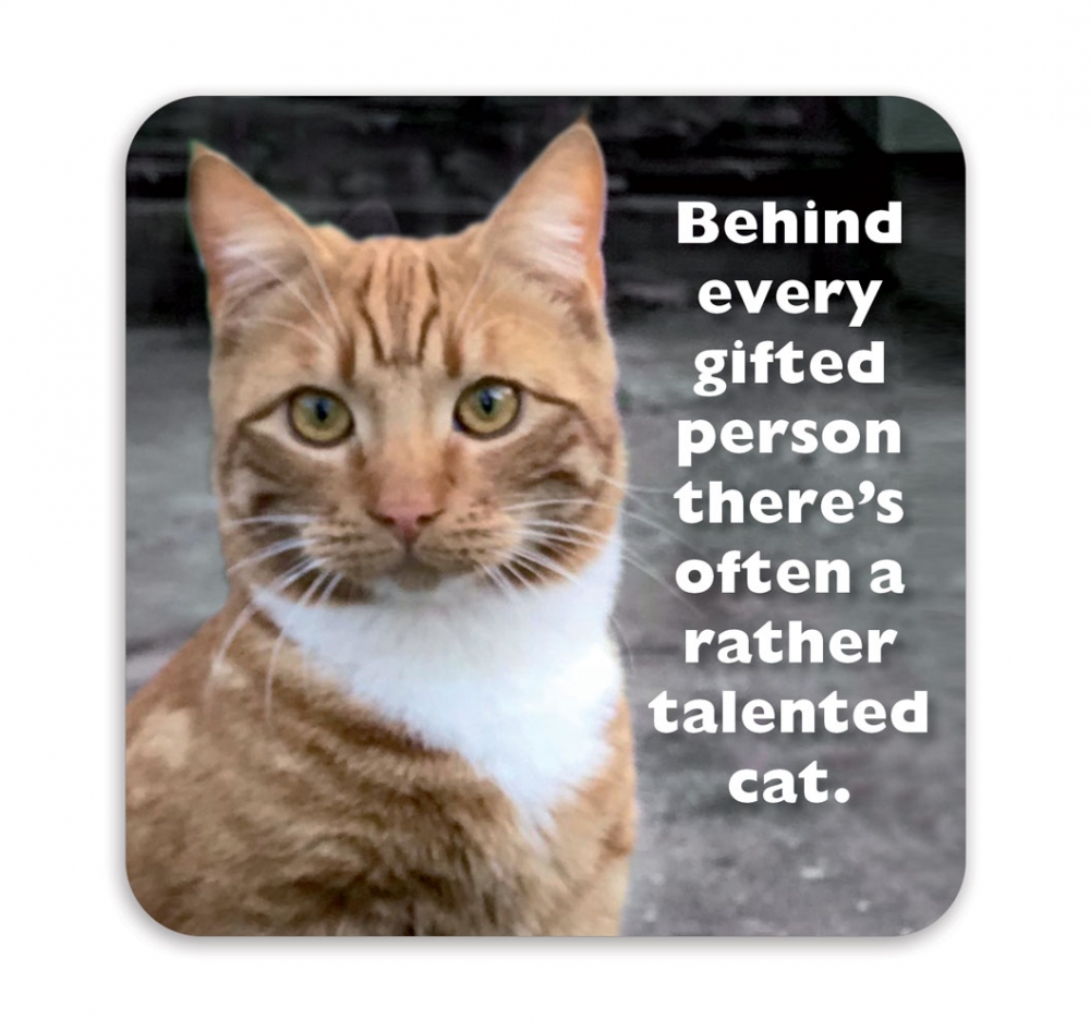 Photocaptions : Behind every gifted person there's often a rather talented cat - glasunderlägg i melamin 