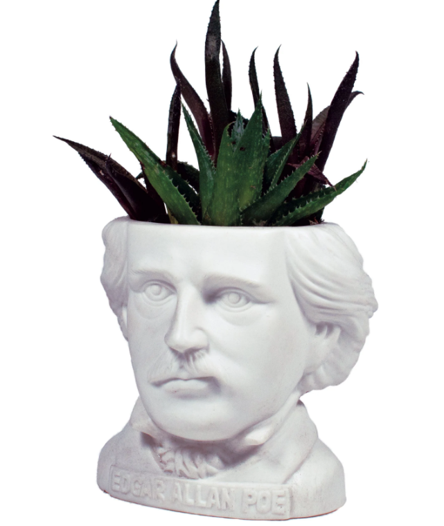 Edgar Allan Poe : Fertile Minds Planter - pennställ/blomkruka/godisskål - 2