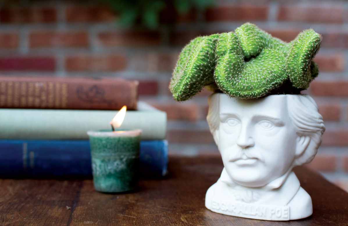 Edgar Allan Poe : Fertile Minds Planter - pennställ/blomkruka/godisskål - 4