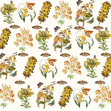 Art Origami  : Maria Sibylla Merian - Fjärilar - 7
