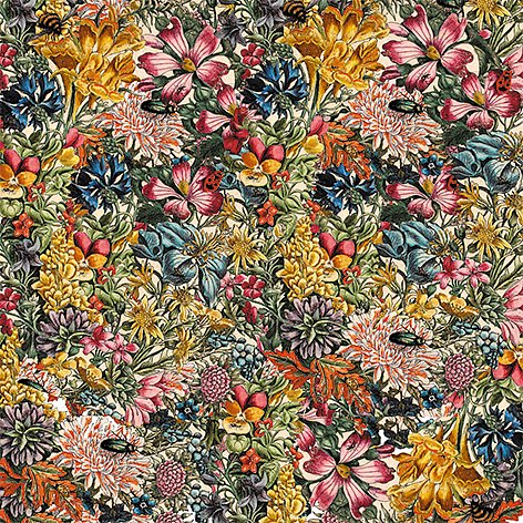 Art Origami  : Maria Sibylla Merian - Fjärilar - 6
