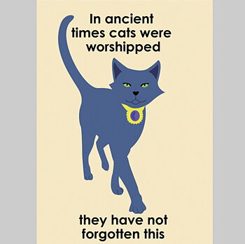 In ancient times cats were worshipped. They have not forgotten this. : Vykort