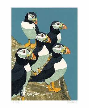 Robert Gillmor : Puffins - Kort med kuvert