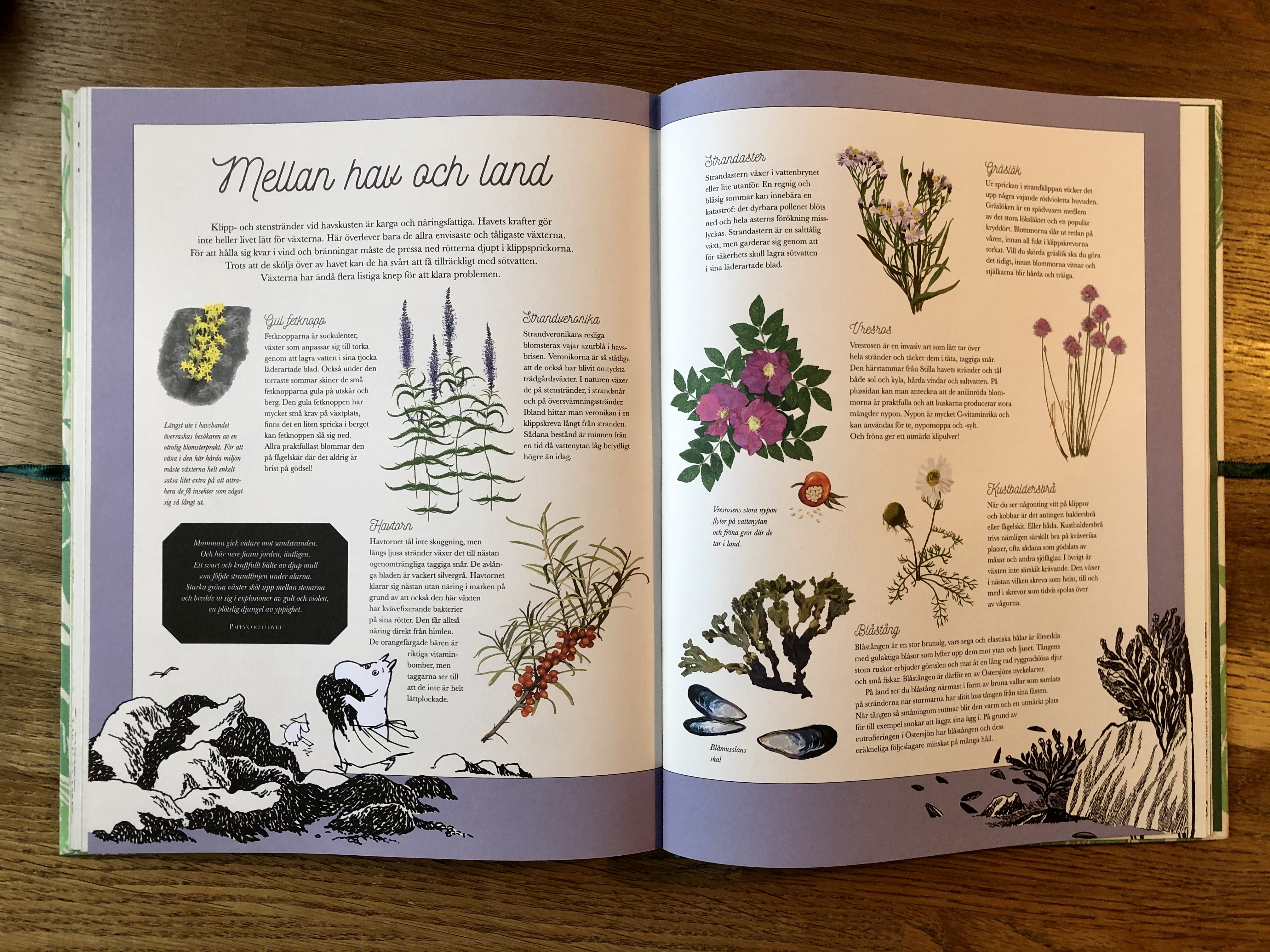 Mumin : Naturserien - Hemulens herbarium - 6