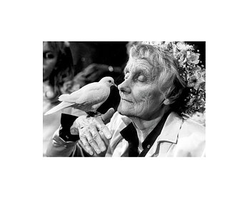 Astrid Lindgren : Astrid och duvan - vykort