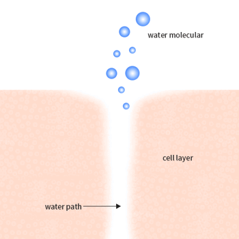 BONAJOUR - BIO ACTIVE NIGHT CREAM 80ML