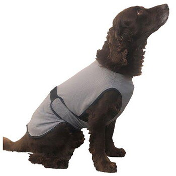 Cooling vest/ Kyltäcke till hund