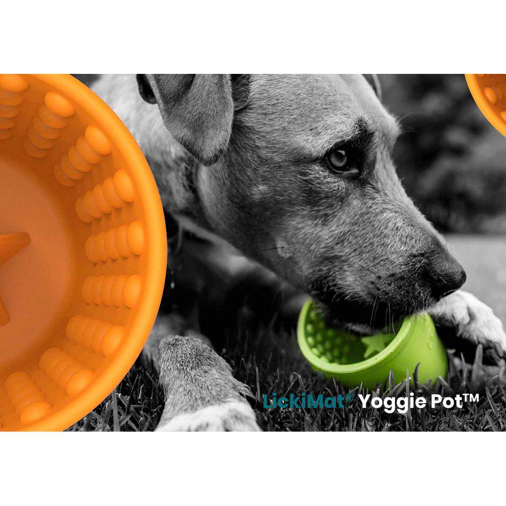 Lickimat Yoggie Pot Grön - 5