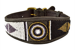 Zinj halsband Whippet Zwahili