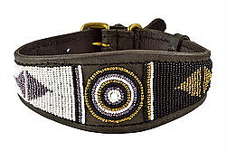 Zinj halsband Whippet Zwahili