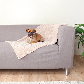 Hundfilt Cosy Beige