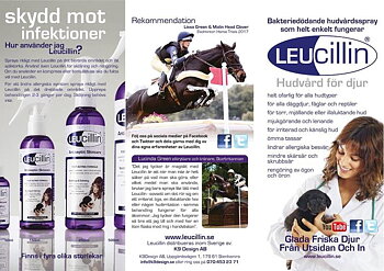 Leucillin 60ml