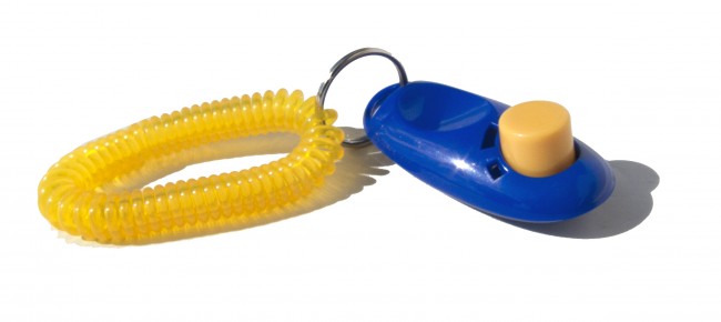 Klicker med armband