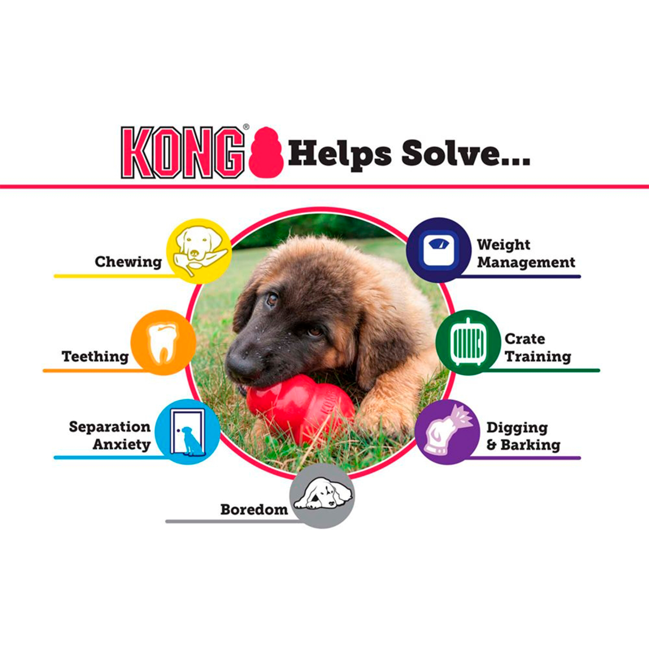 Kong Classic - 3