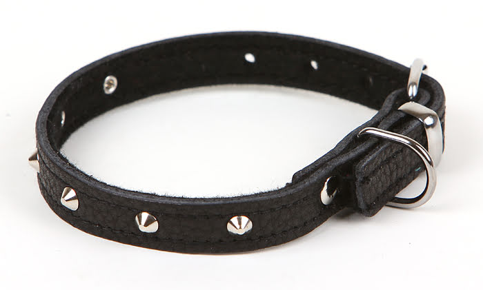 Hundhalsband med nitar svart