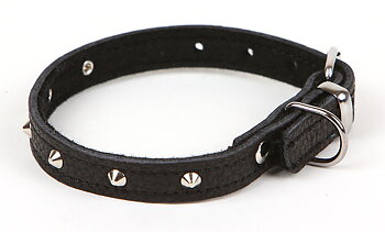 Hundhalsband med nitar svart