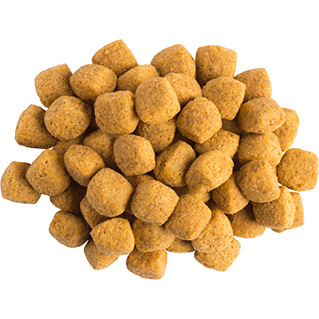 PURINA® PRO PLAN® VETERINARY DIETS Canine EN Gastrointestinal (torrfoder) - 2