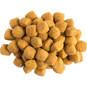 PURINA® PRO PLAN® VETERINARY DIETS Canine EN Gastrointestinal (torrfoder)