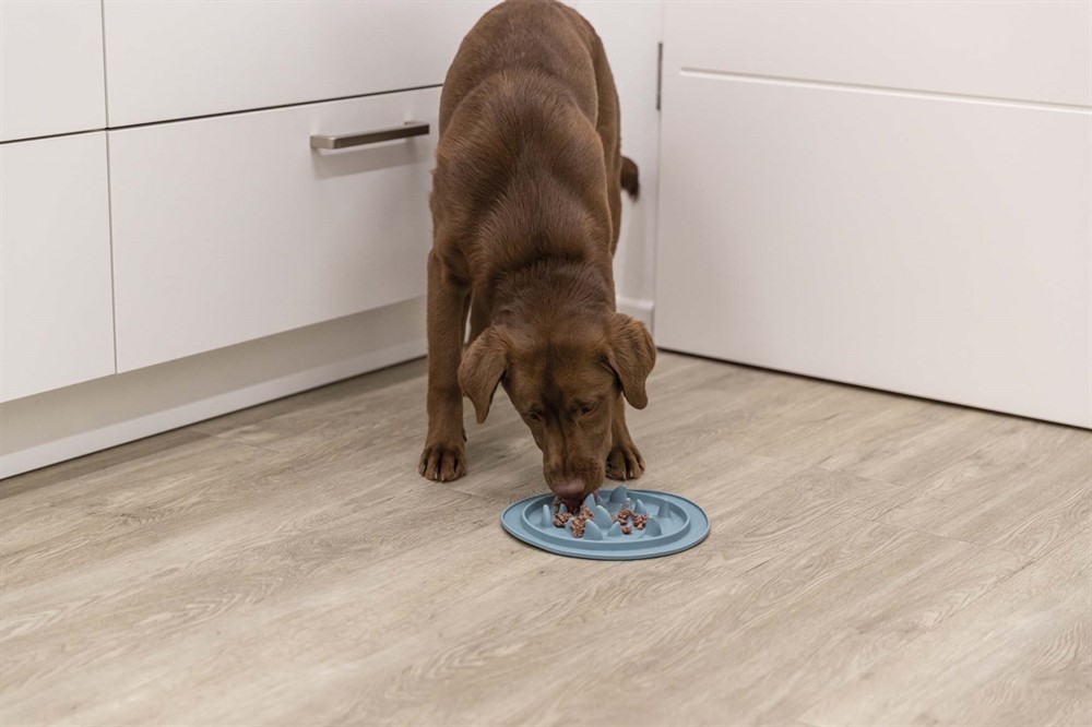 Slow Feed fodermatta Haj, TPE, ø 24 cm - 5