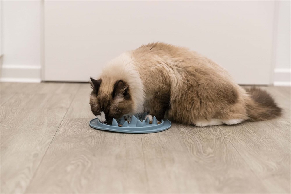 Slow Feed fodermatta Haj, TPE, ø 24 cm - 4