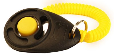 Klicker Starmark med armband