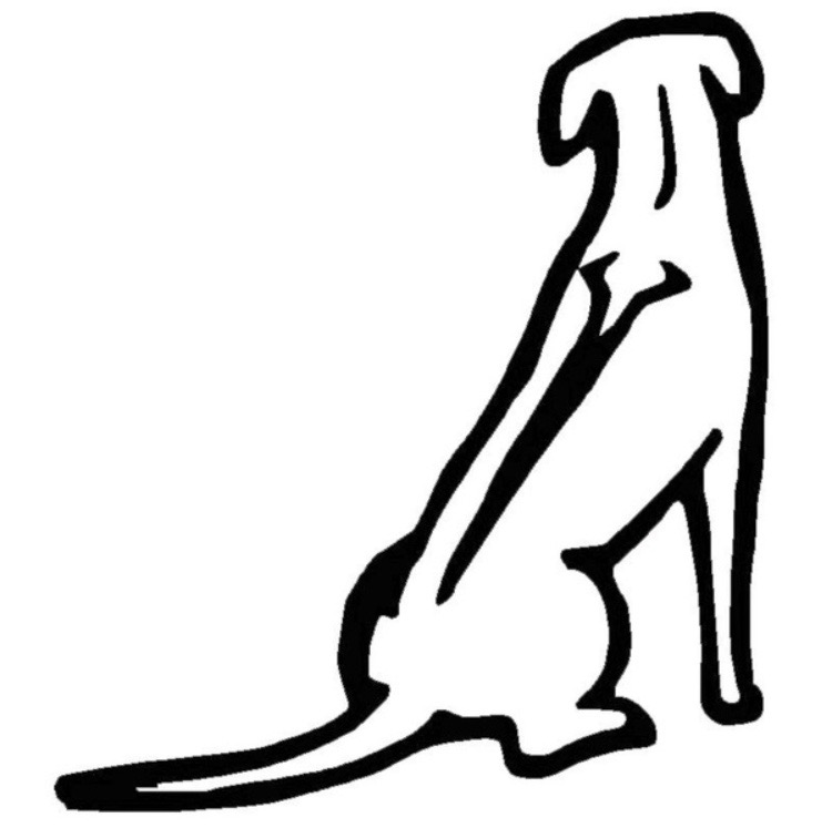 Klistermärke Rhodesian Ridgeback