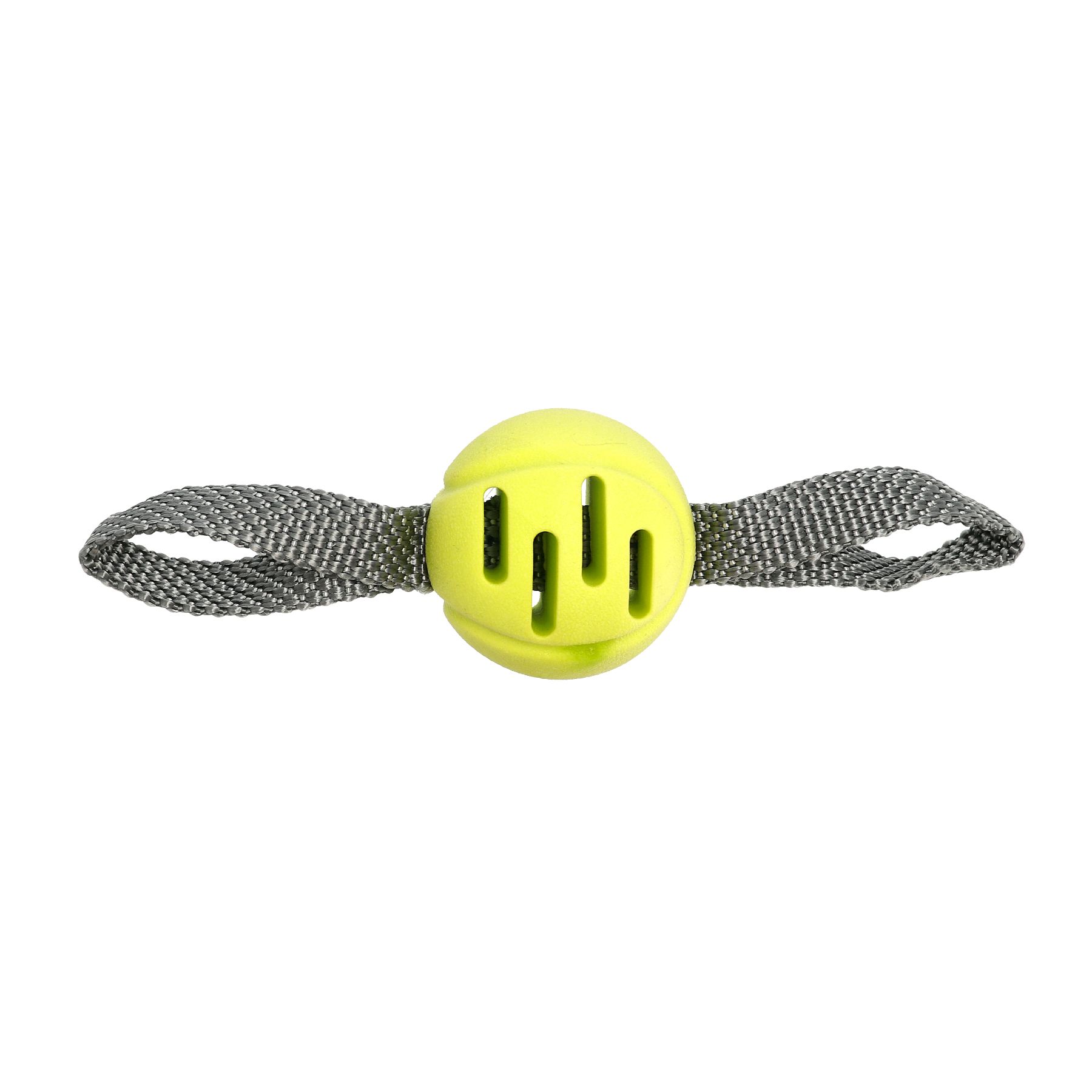 Hundleksak fetchball