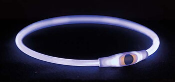 Flashring- blinkhalsband transparent/ grön