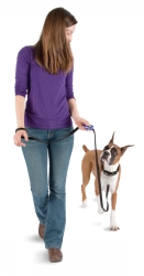 PetSafe klicker Clik-R Clip, att fästa på koppel  - 2
