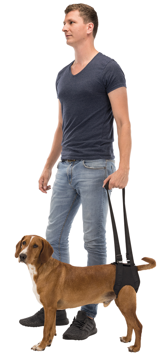 Promenadhjälp för hund - 2