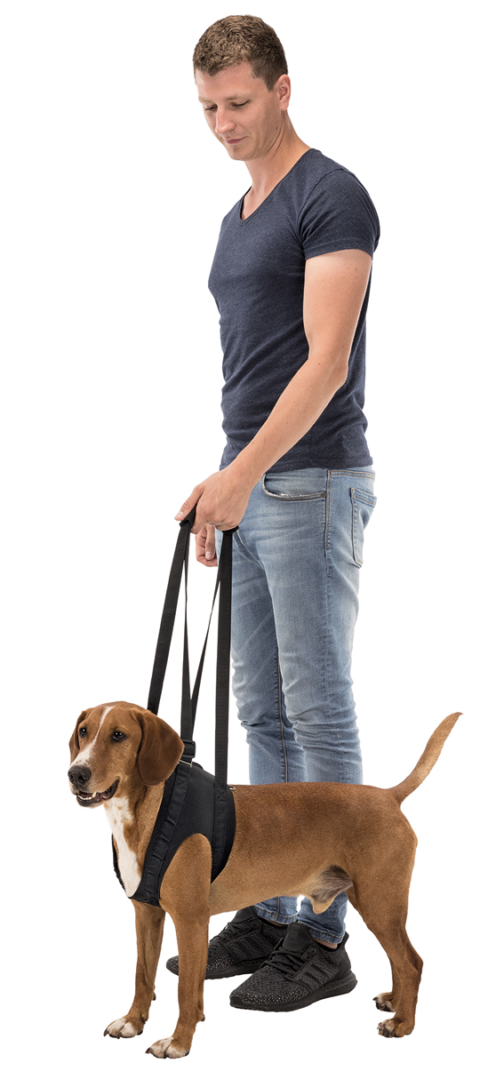 Promenadhjälp för hund