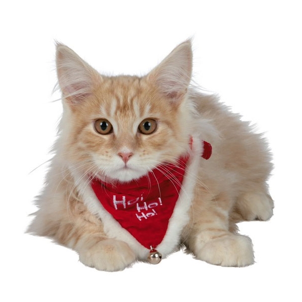 Julhalsband med scarf - 4