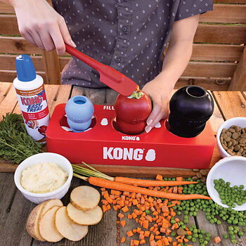Kong Fill Or Freezetray/ Ställning till KONG